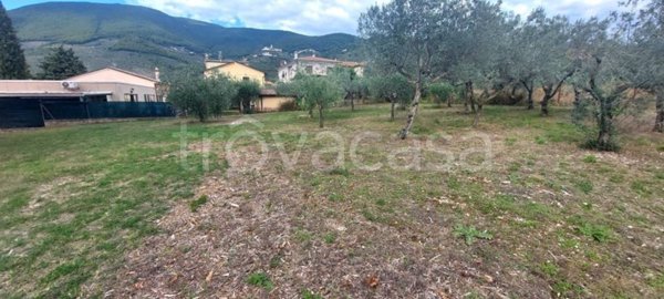 terreno agricolo in vendita a Campello sul Clitunno