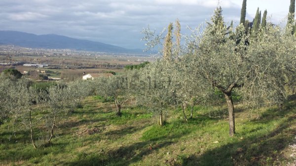 terreno edificabile in vendita a Campello sul Clitunno