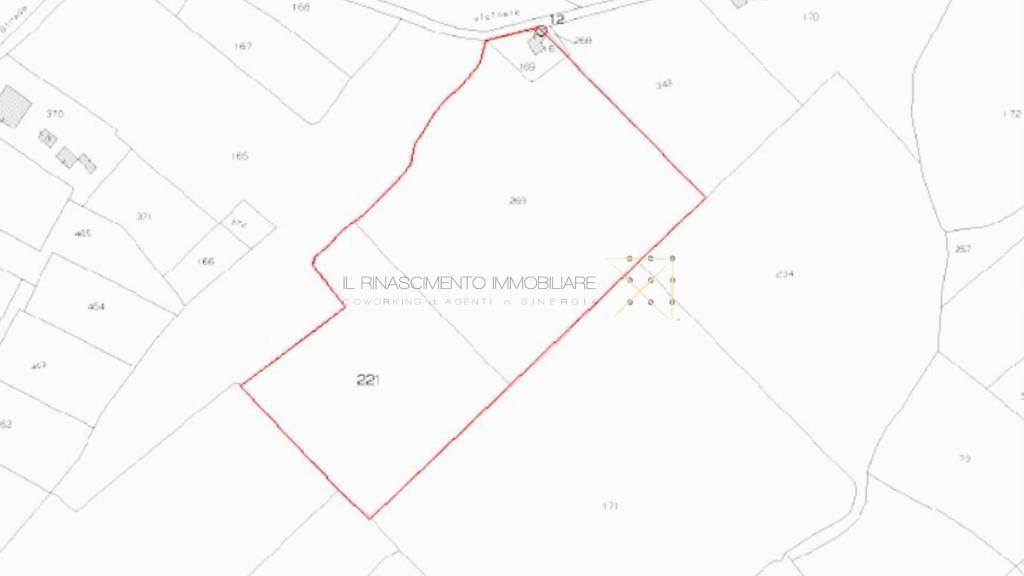 terreno agricolo in vendita a Cannara