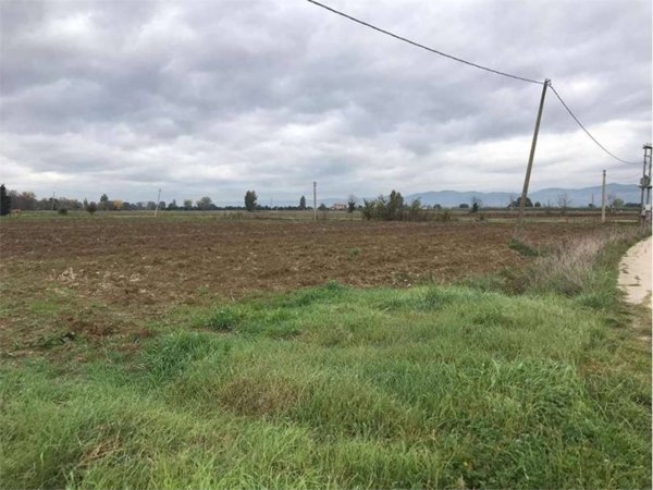terreno agricolo in vendita a Cannara