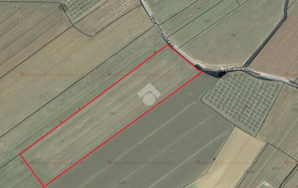 terreno agricolo in vendita a Cannara