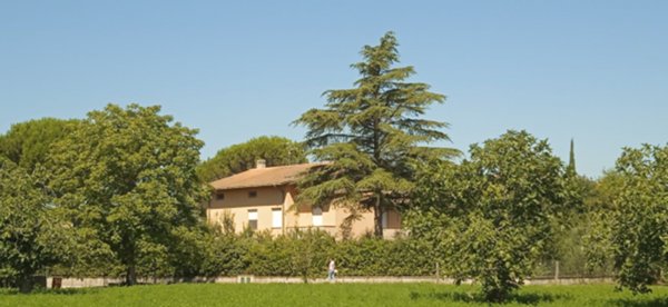 casa indipendente in vendita a Cannara