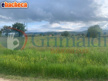 casa indipendente in vendita a Cannara