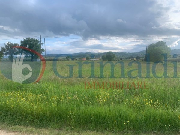 casa indipendente in vendita a Cannara