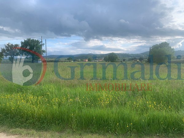 casa indipendente in vendita a Cannara