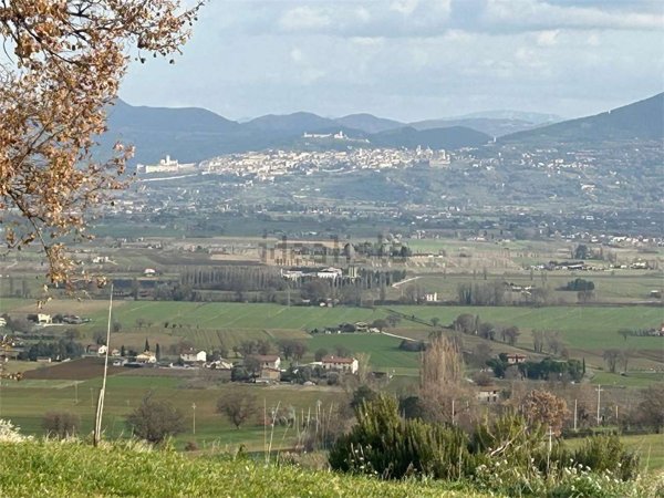 casa indipendente in vendita a Cannara in zona Collemancio