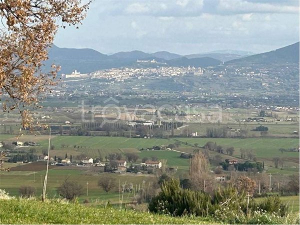 casa indipendente in vendita a Cannara in zona Collemancio