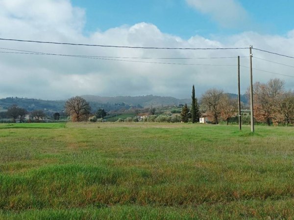terreno agricolo in vendita a Cannara