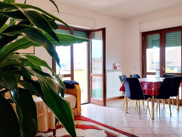 appartamento in vendita a Cannara