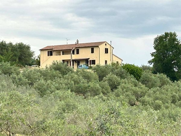 appartamento in vendita a Cannara in zona Collemancio