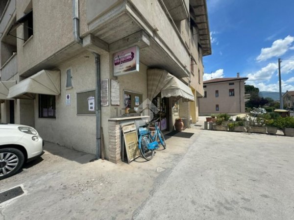 appartamento in vendita a Cannara