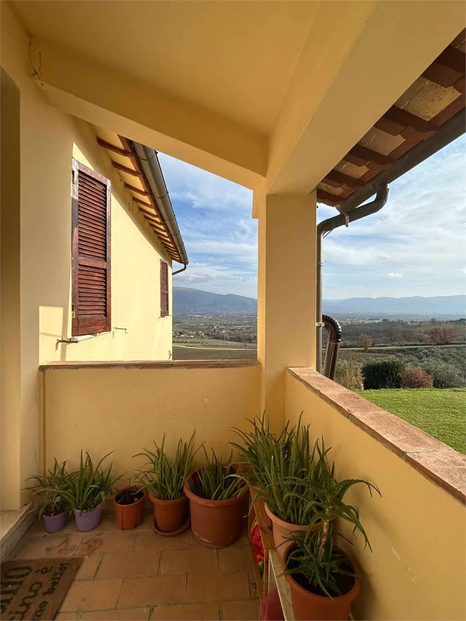 appartamento in vendita a Cannara in zona Collemancio