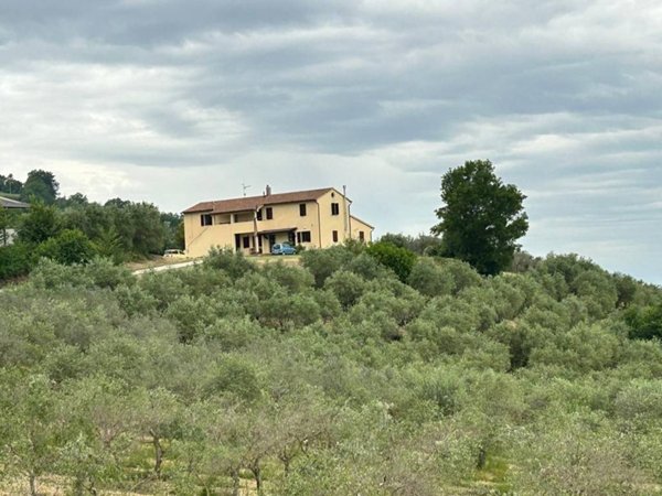 appartamento in vendita a Cannara in zona Collemancio