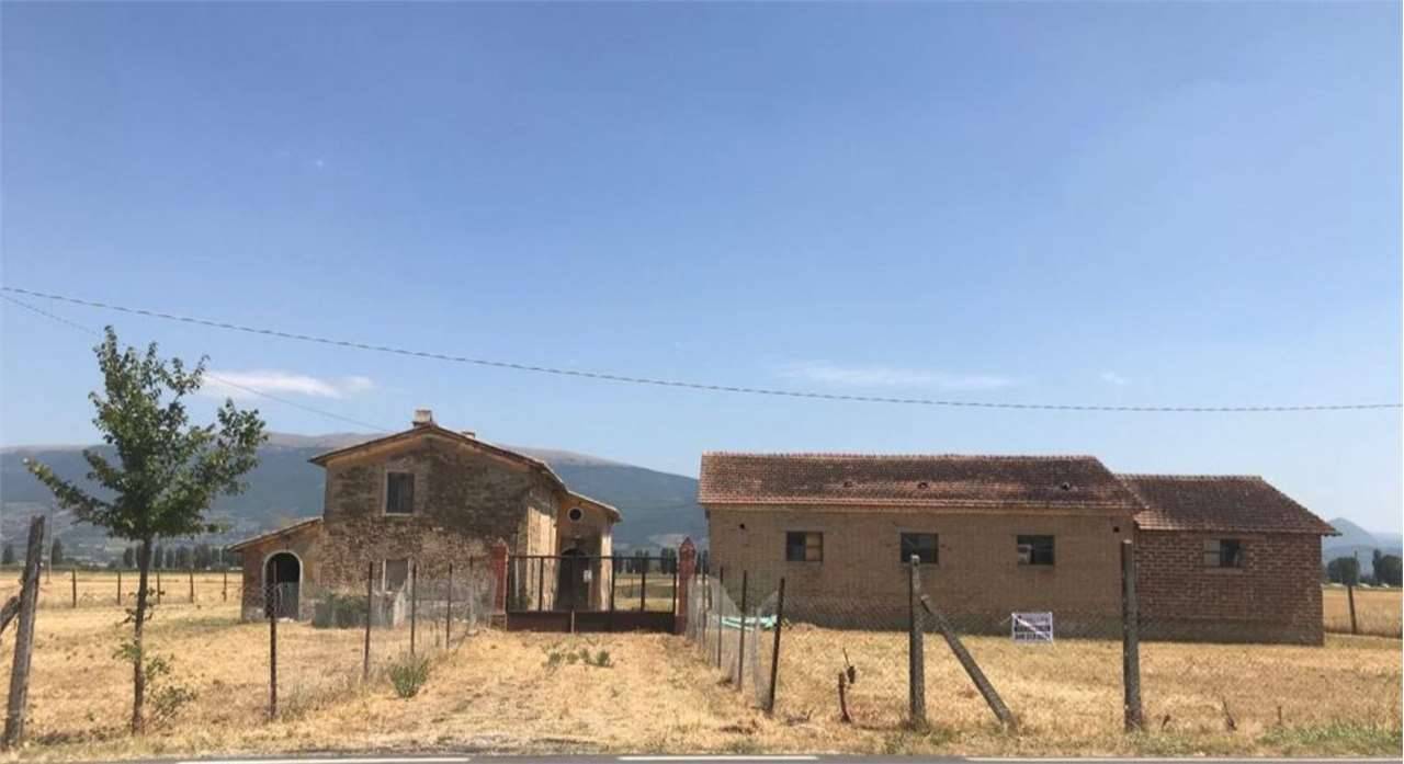 azienda agricola in vendita a Cannara