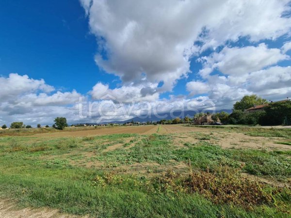 terreno agricolo in vendita a Cannara