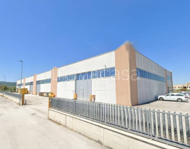 negozio in vendita a Cannara