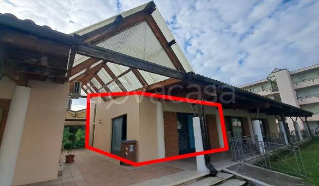 appartamento in vendita a Cannara