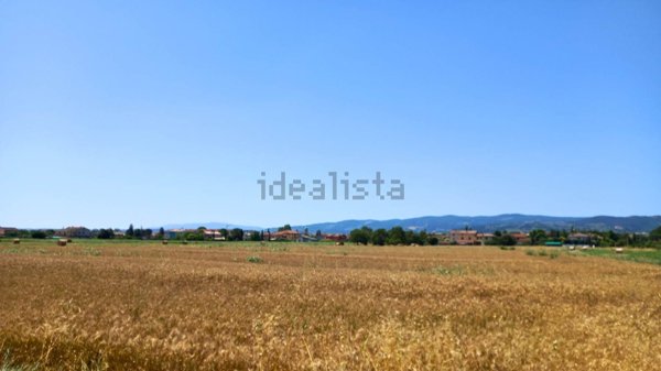 terreno agricolo in vendita a Cannara