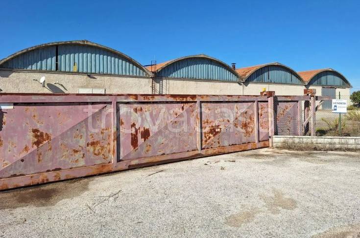 negozio in vendita a Cannara