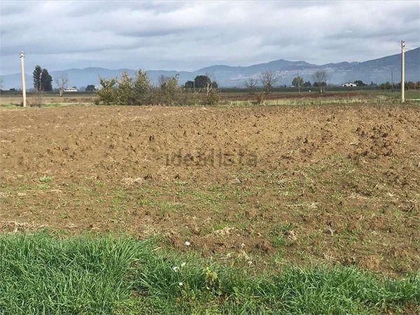 terreno agricolo in vendita a Cannara