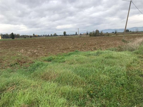 terreno agricolo in vendita a Cannara