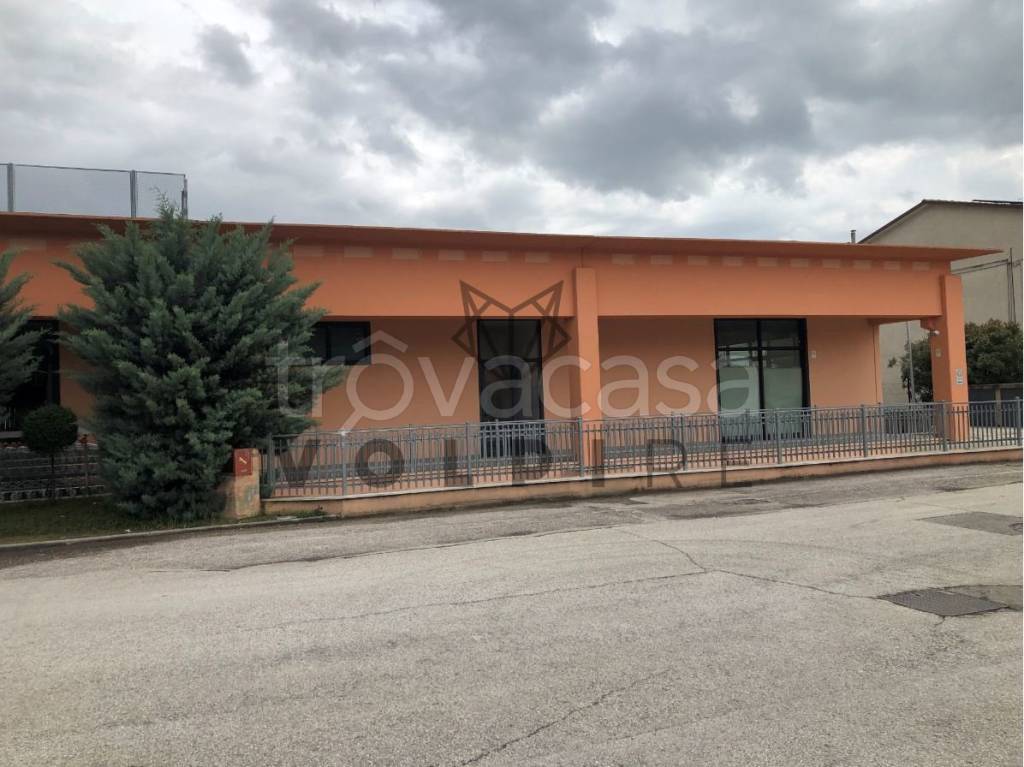 negozio in vendita a Cannara