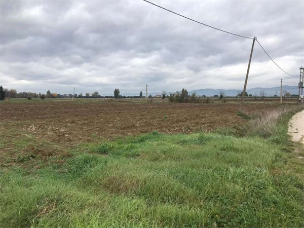 terreno agricolo in vendita a Cannara