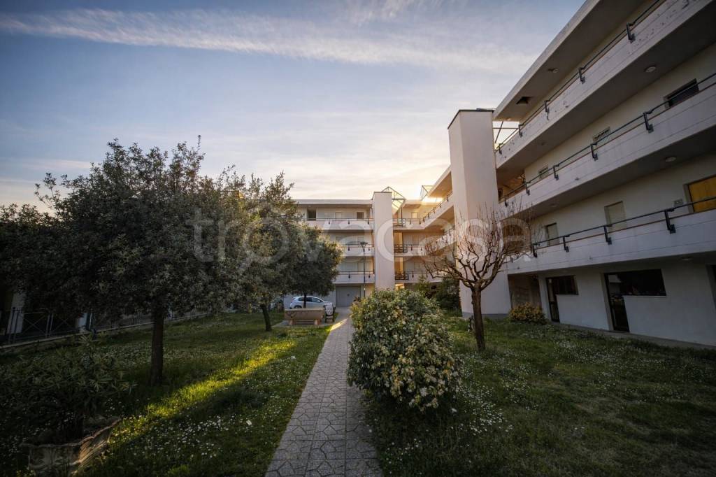 appartamento in vendita a Cannara