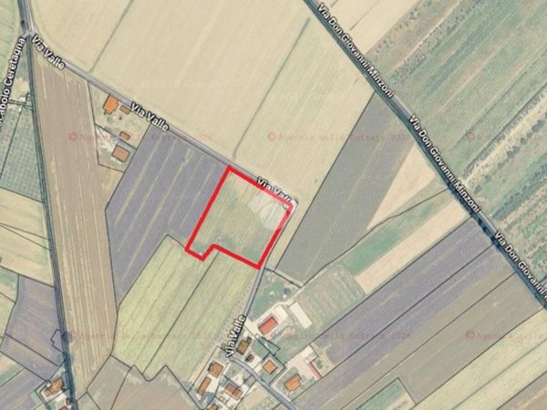 terreno agricolo in vendita a Cannara