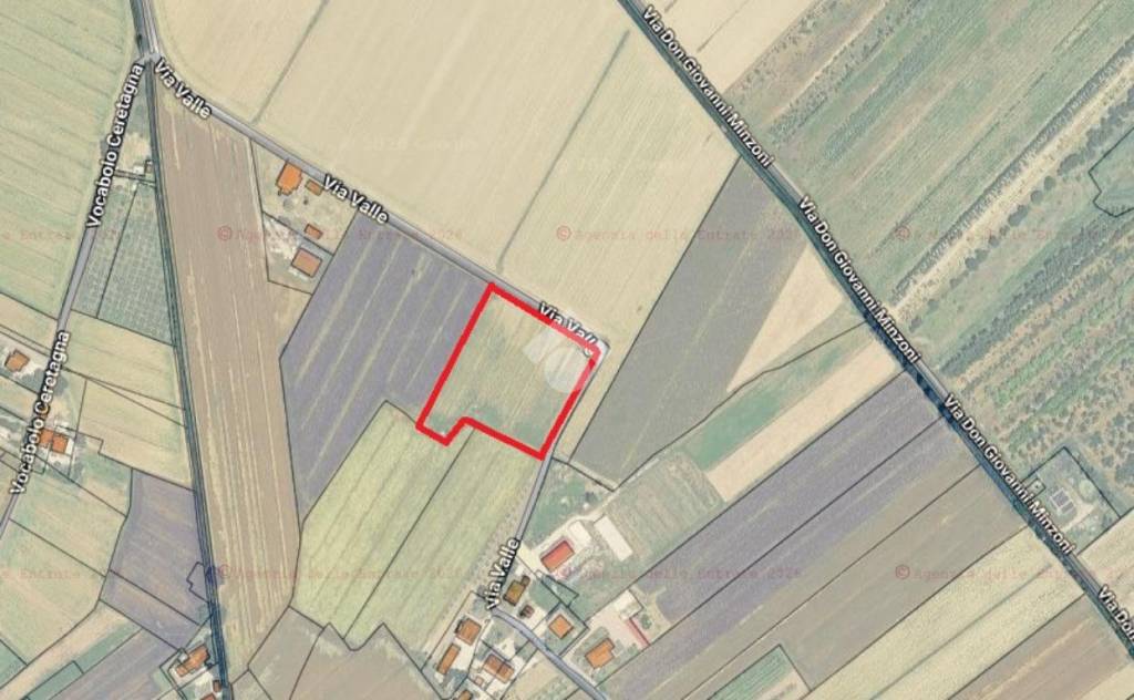 terreno agricolo in vendita a Cannara