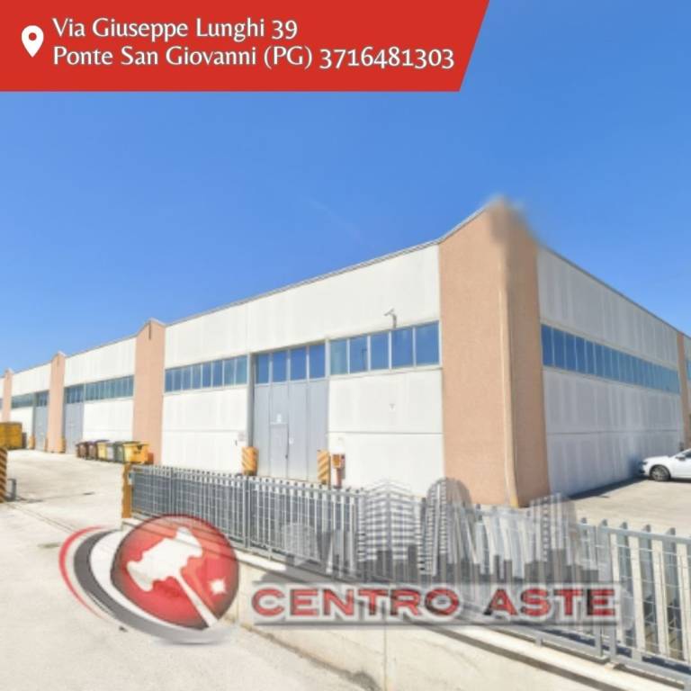 negozio in vendita a Cannara