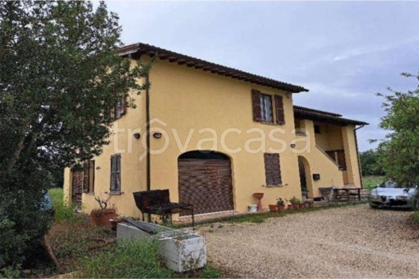 appartamento in vendita a Cannara in zona Collemancio