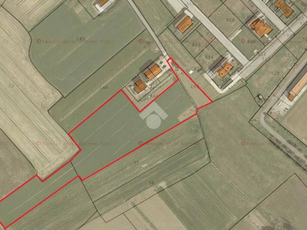 terreno agricolo in vendita a Cannara