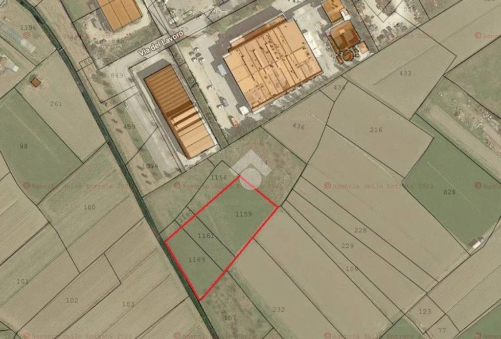 capannone in vendita a Cannara