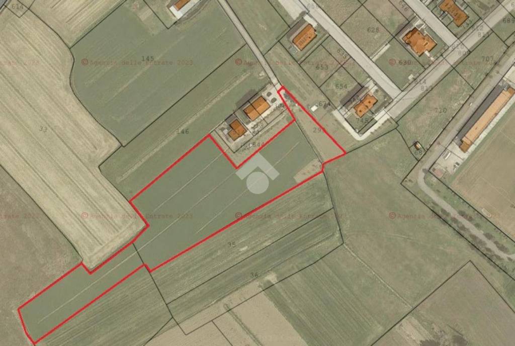 terreno agricolo in vendita a Cannara