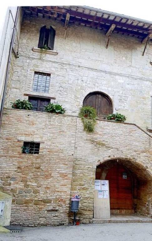 appartamento in vendita a Cannara