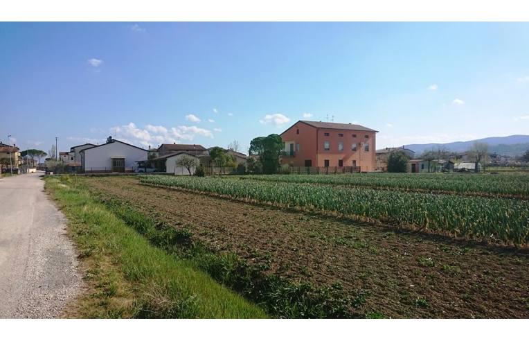 terreno edificabile in vendita a Cannara