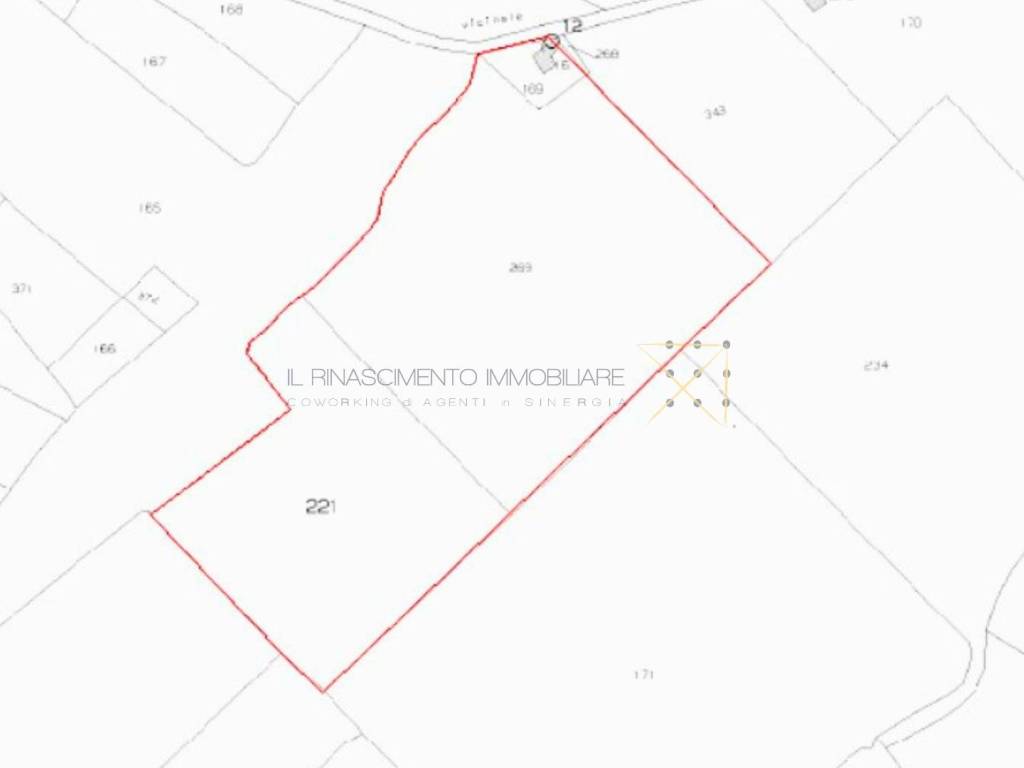 terreno agricolo in vendita a Cannara