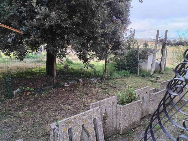 casa indipendente in vendita a Cannara in zona Collemancio