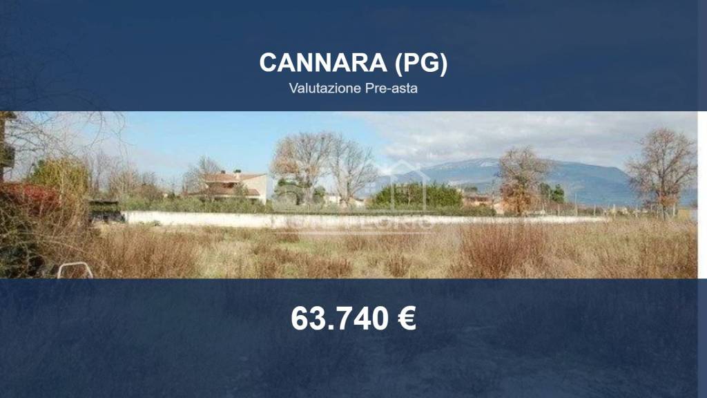 terreno agricolo in vendita a Cannara