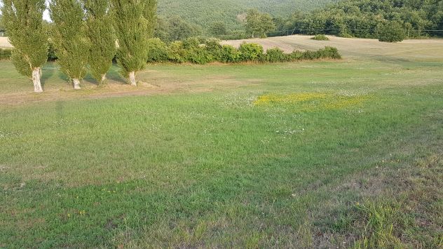 terreno agricolo in vendita a Cascia