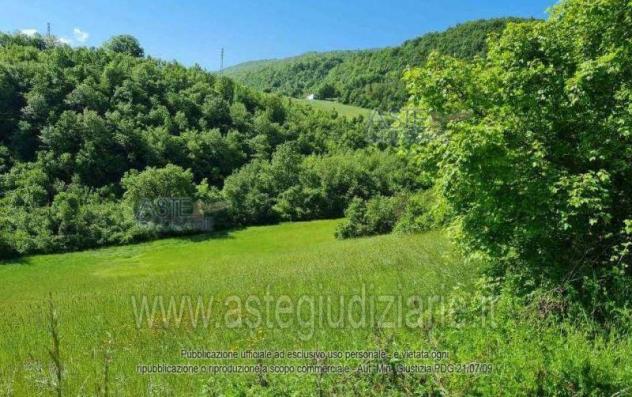 terreno agricolo in vendita a Cascia