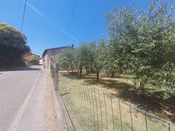 immagine annuncio 0 di 15