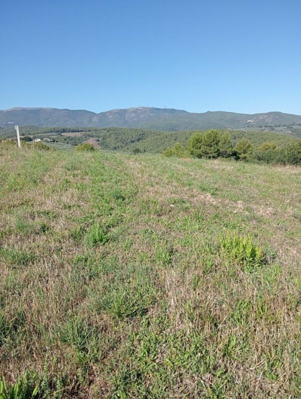 terreno agricolo in vendita a Castel Ritaldi