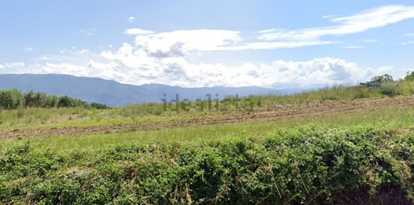 terreno agricolo in vendita a Castel Ritaldi