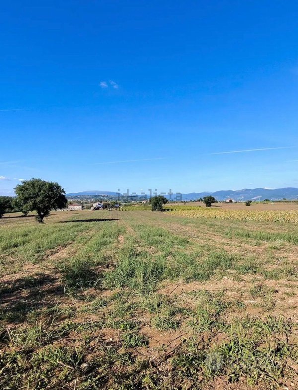 terreno agricolo in vendita a Castel Ritaldi
