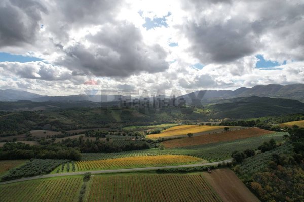 azienda agricola in vendita a Castel Ritaldi