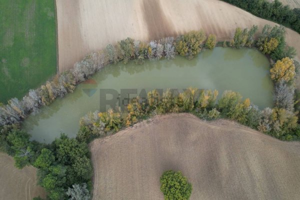azienda agricola in vendita a Castel Ritaldi