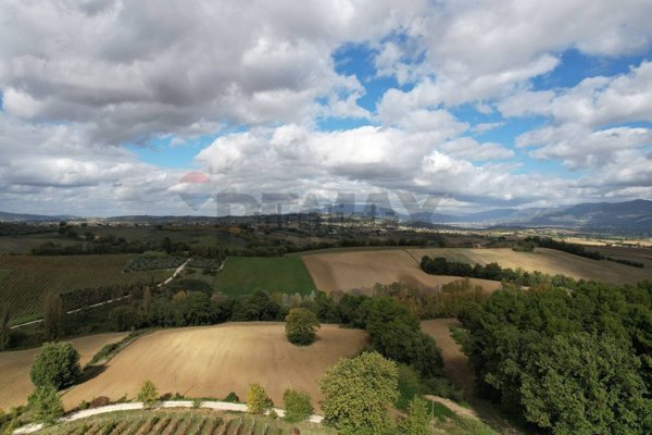 azienda agricola in vendita a Castel Ritaldi