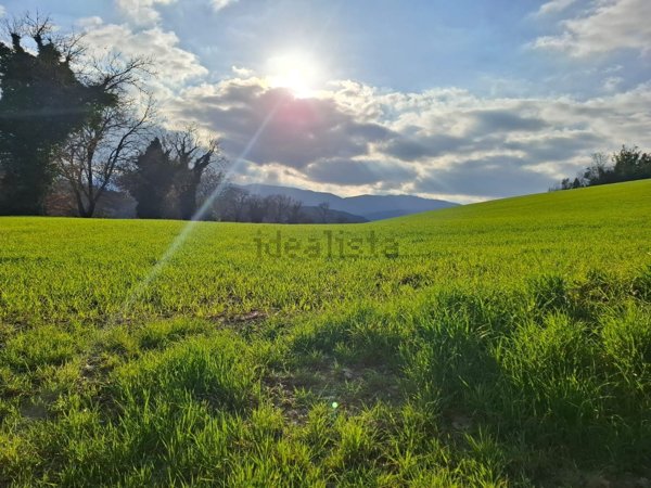 casa indipendente in vendita a Castel Ritaldi